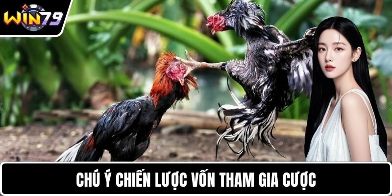 Chú ý chiến lược vốn tham gia cược