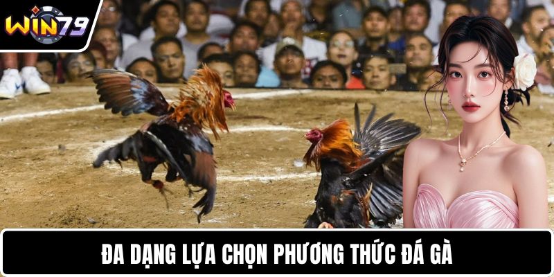 Đa dạng lựa chọn phương thức đá gà