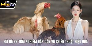 Đá gà 88