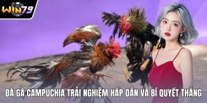 Đá gà Campuchia