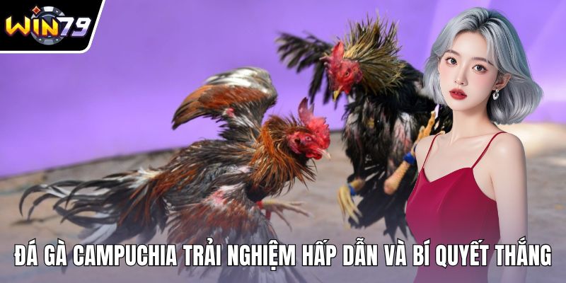 Đá gà Campuchia