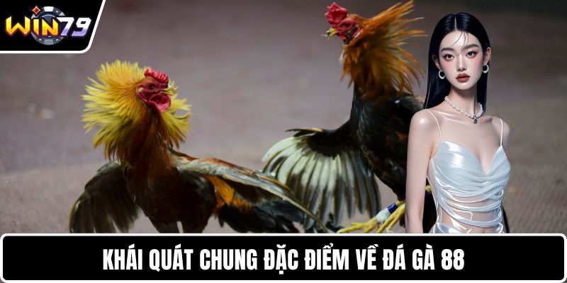 Khái quát chung đặc điểm về đá gà 88