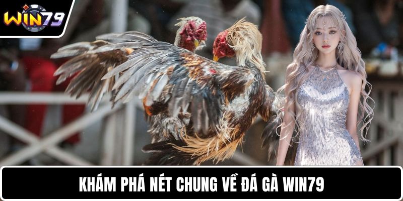 Khám phá nét chung về đá gà WIN79