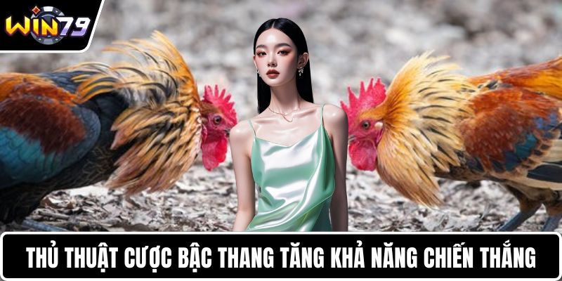 Thủ thuật cược bậc thang tăng khả năng chiến thắng