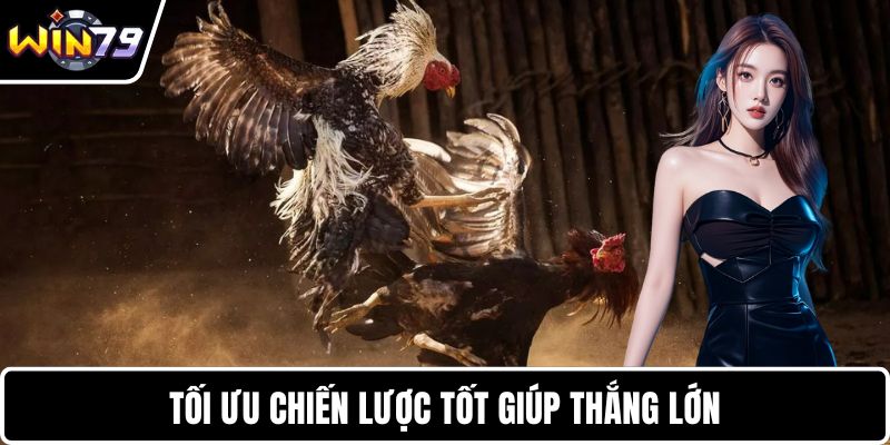 Tối ưu chiến lược tốt giúp thắng lớn